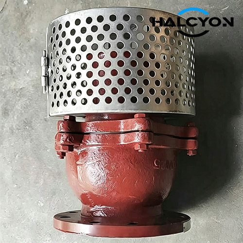 Suction Check Valve1.jpg Suction Check Valve1.jpg